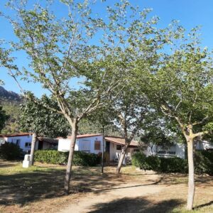 spanje_sfeerfoto_2023 (2)